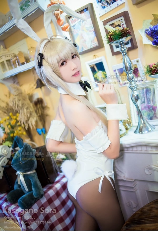 먹튀검증 토토군 포토 Bunny Girl