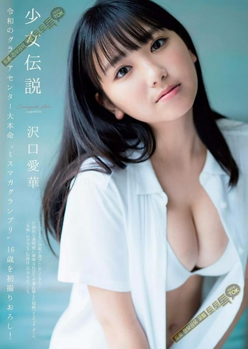 먹튀검증 토토군 포토 그라비아 언니들