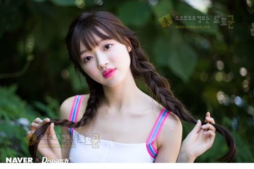 먹튀검증 토토군 포토 유아 아린 지호 효정 승희 비니 미미 오마이걸