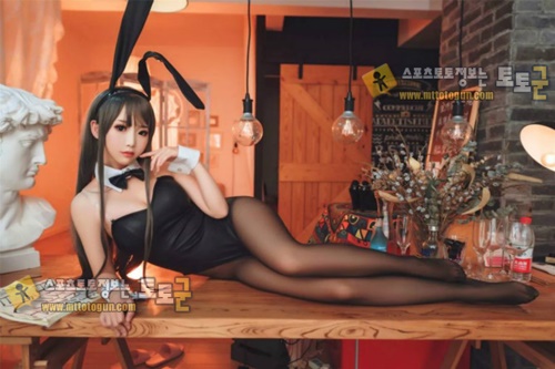 먹튀검증 토토군 포토 토끼소녀의 검스사랑