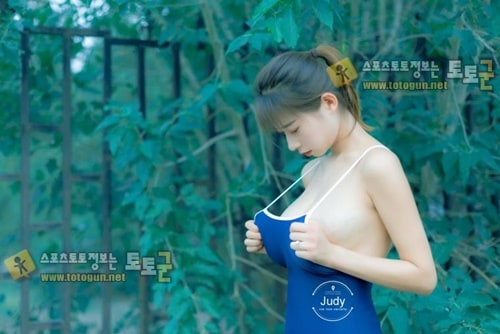 먹튀검증 토토군 포토 마른 글래머