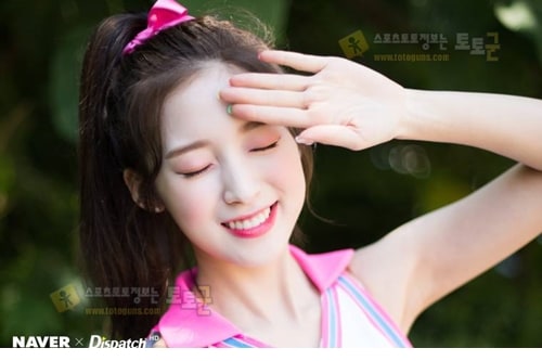 먹튀검증 토토군 포토 유아 아린 지호 효정 승희 비니 미미 오마이걸