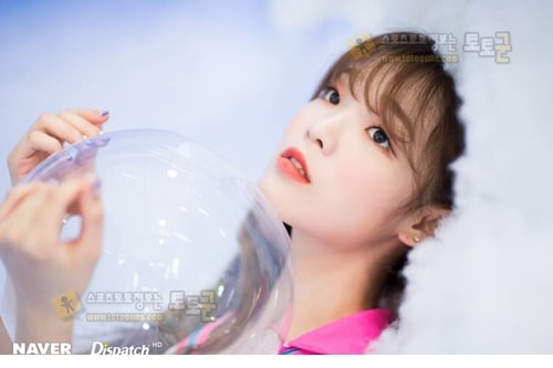 먹튀검증 토토군 포토 유아 아린 지호 효정 승희 비니 미미 오마이걸