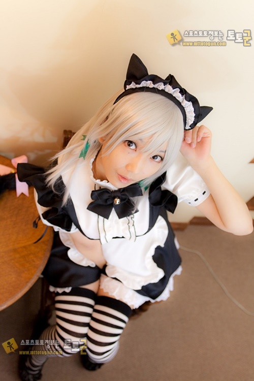 먹튀검증 토토군 포토 길거리축제