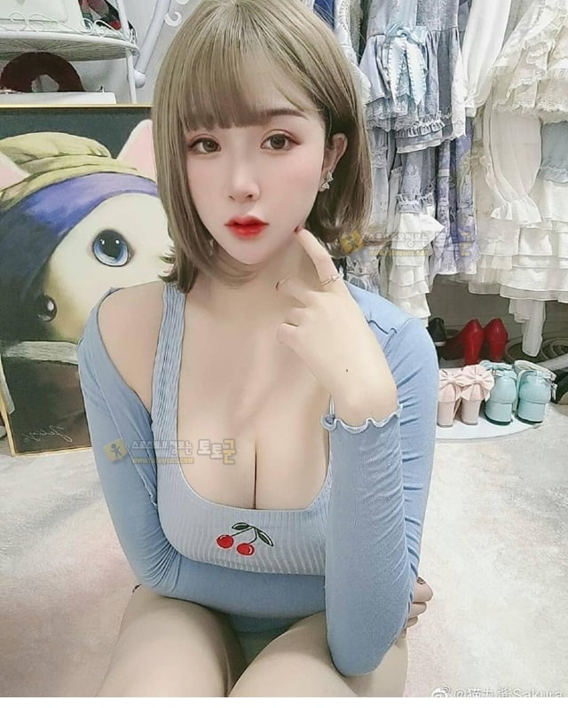 먹튀검증 토토군 포토 일본 처자