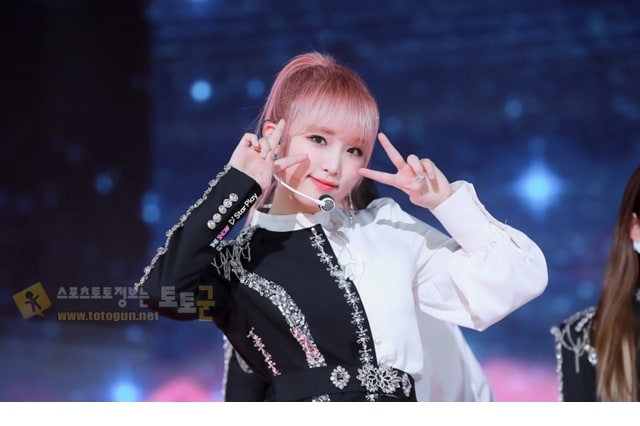 먹튀검증 토토군 포토 아이즈원 최예나