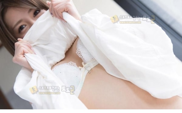 먹튀검증 토토군 포토 화이트 섹션