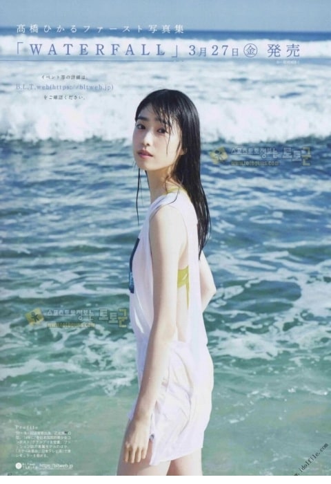 먹튀검증 토토군 포토 그라돌