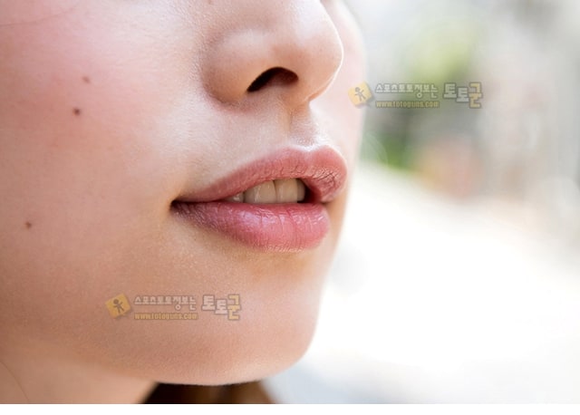 먹튀검증 토토군 포토 딸녀ㅇㅇ