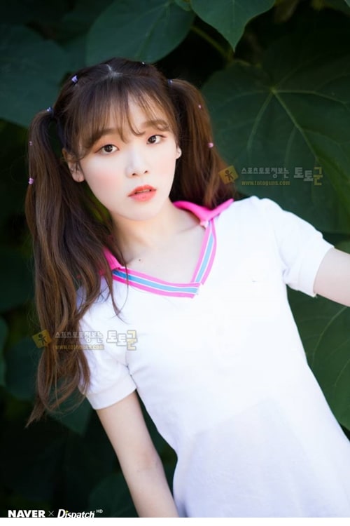 먹튀검증 토토군 포토 유아 아린 지호 효정 승희 비니 미미 오마이걸