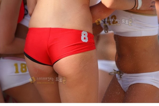 먹튀검증 토토군 포토 비취 럭비