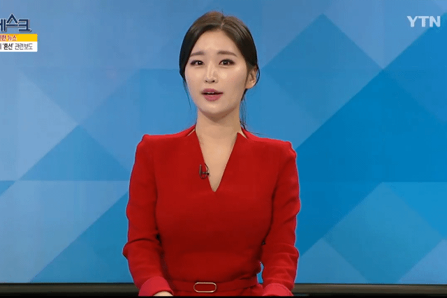 아나운서 출신 모델 김나정