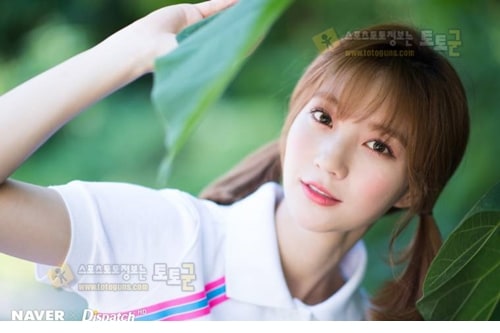 먹튀검증 토토군 포토 유아 아린 지호 효정 승희 비니 미미 오마이걸