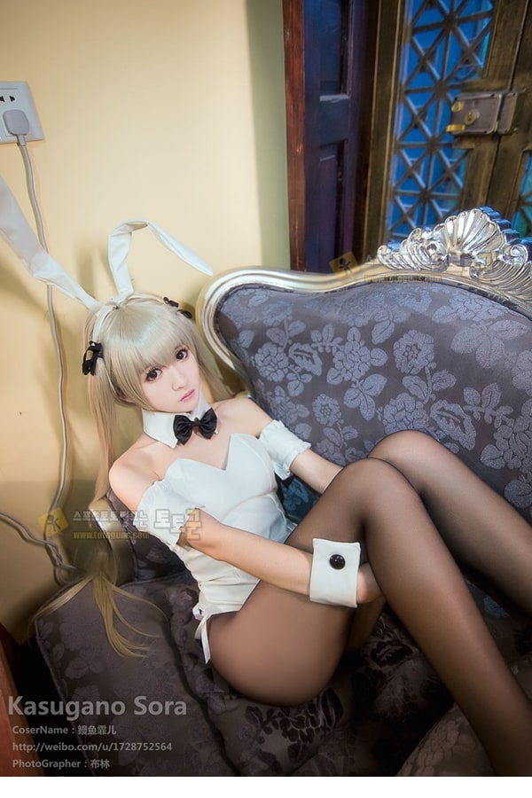먹튀검증 토토군 포토 Bunny Girl