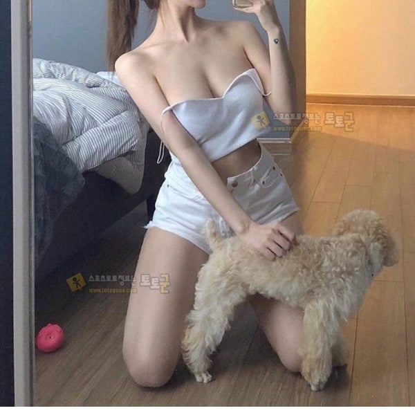 먹튀검증 토토군 포토 바람직한 처자