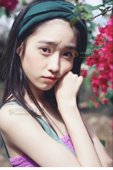 먹튀검증 토토군 포토 그라돌