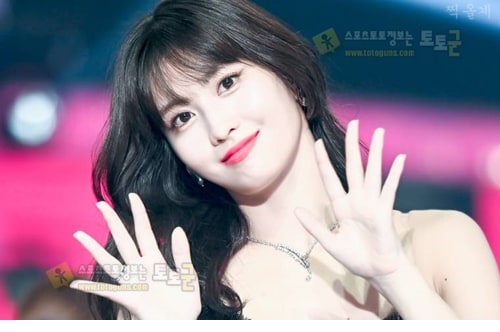 먹튀검증 토토군 포토 트와이스 모모
