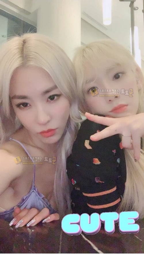 소시12주년 & 파니생일