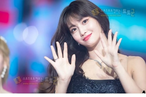 먹튀검증 토토군 포토 트와이스 모모