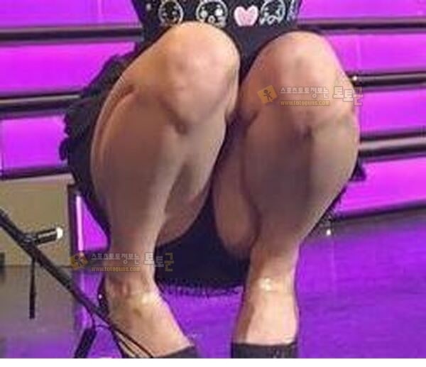 먹튀검증 토토군 포토 누나들의 은꼴 포인트