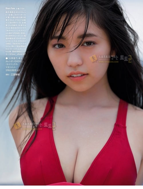 먹튀검증 토토군 포토 은근 야한 피지컬