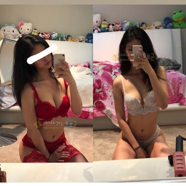 먹튀검증 토토군 포토 레드 포인트