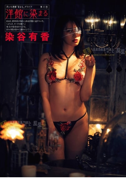 먹튀검증 토토군 포토 탄력있는 몸매녀