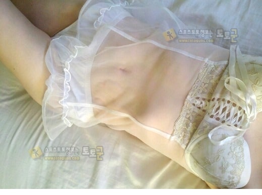 먹튀검증 토토군 포토 시스루 처자들의 섹시미