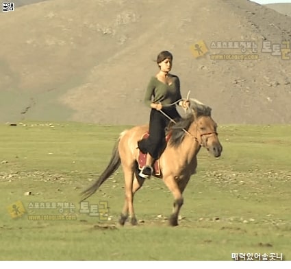 먹튀검증 토토군 포토 한국 모로코 혼혈 모델 엄휘연