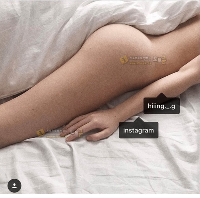 먹튀검증 토토군 포토 인스녀의 피지컬