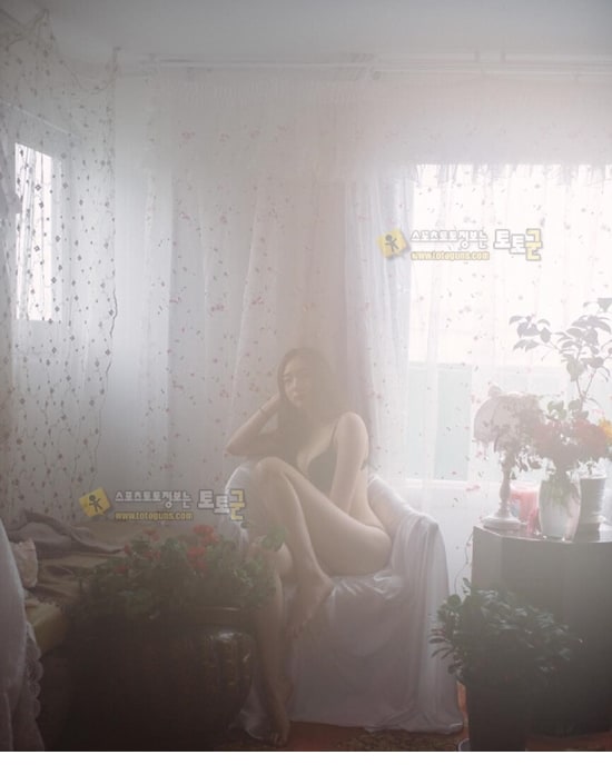 먹튀검증 토토군 포토 18학번 ㅊㅈ