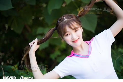 먹튀검증 토토군 포토 유아 아린 지호 효정 승희 비니 미미 오마이걸