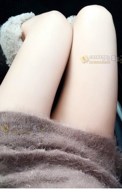 먹튀검증 토토군 포토 조수석 민패녀