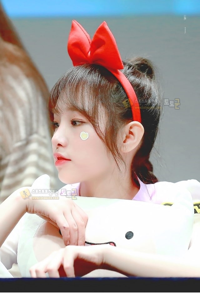 먹튀검증 토토군 포토 아이즈원 최예나