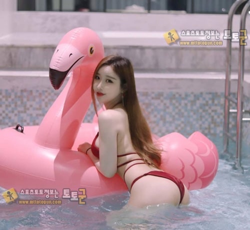 먹튀검증 토토군 포토 몸매자랑