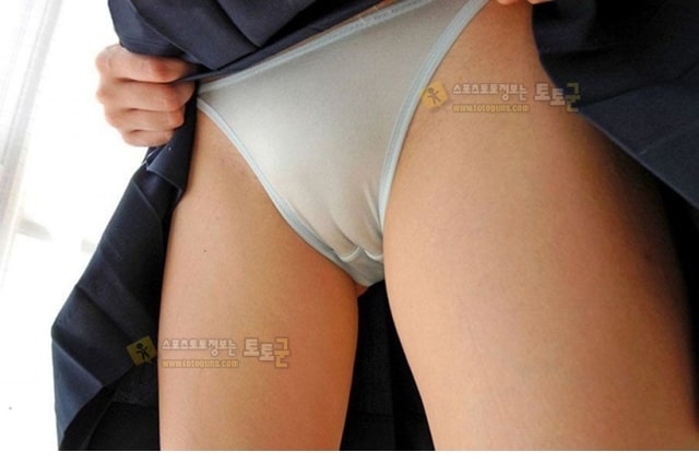 먹튀검증 토토군 포토 은밀한 삼각지역