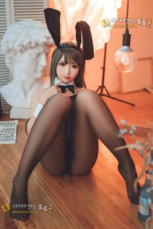 먹튀검증 토토군 포토 토끼소녀의 검스사랑