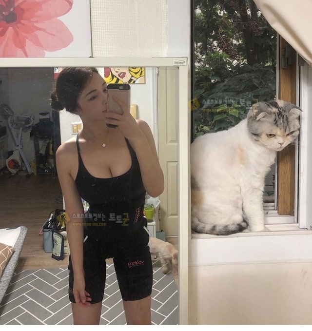 먹튀검증 토토군 포토 강사님