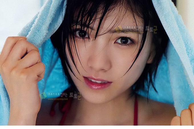 먹튀검증 토토군 포토 그라비아 스타돌