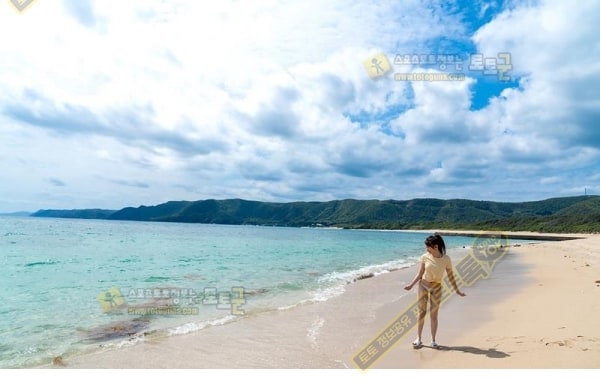 먹튀검증 토토군 포토 야릇한 해변