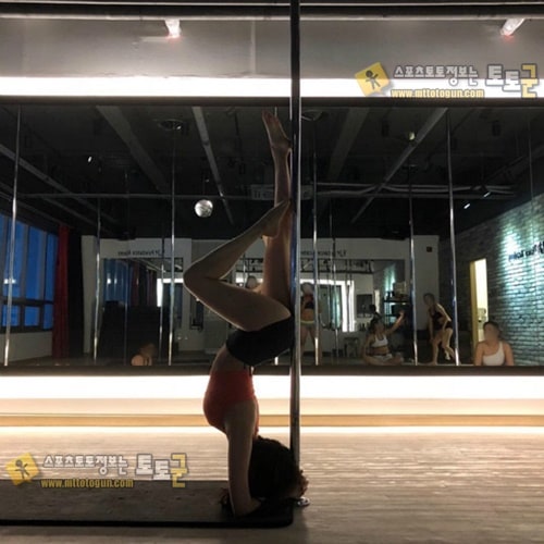 필라강사